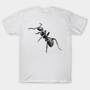 Ant T-Shirt